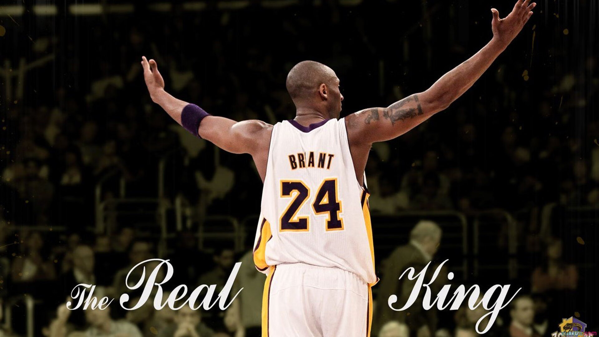 中考英语复习全攻略,掌握关键轻松拿高分,中考英语考试技巧和方法